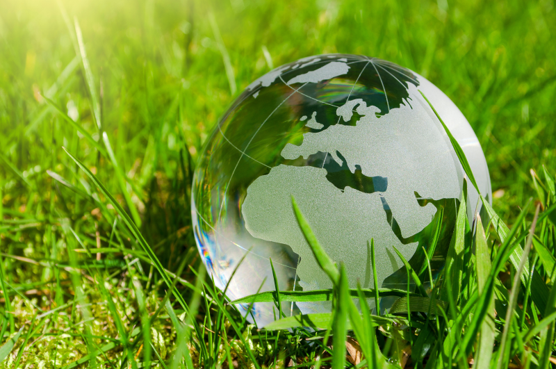Green earth Glass globe lying on grass